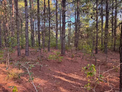 000 Cash Rd, Rison, AR 71665 photo 36