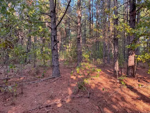 000 Cash Rd, Rison, AR 71665 photo 35