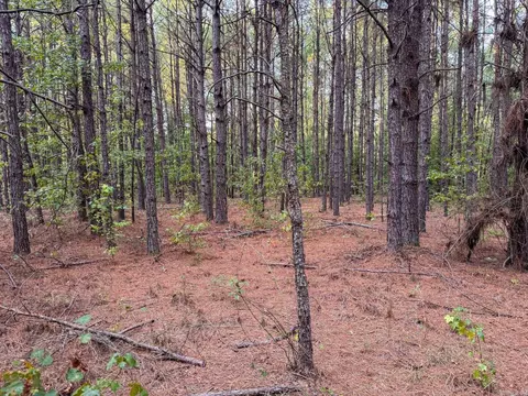 000 Cash Rd, Rison, AR 71665 photo 44