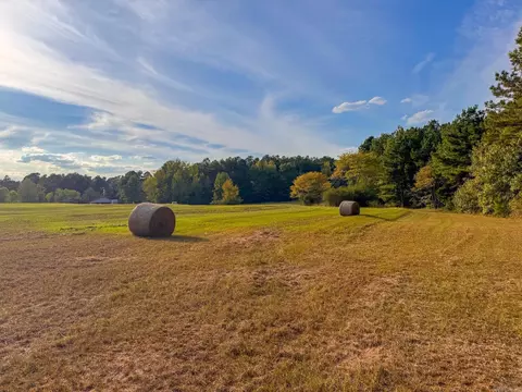 000 Cash Rd, Rison, AR 71665 photo 15