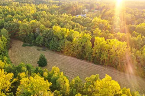 000 Cash Rd, Rison, AR 71665 photo 4