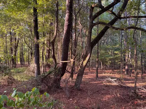 000 Cash Rd, Rison, AR 71665 photo 42