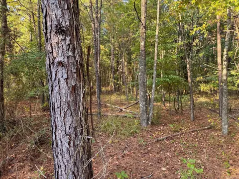 000 Cash Rd, Rison, AR 71665 photo 39
