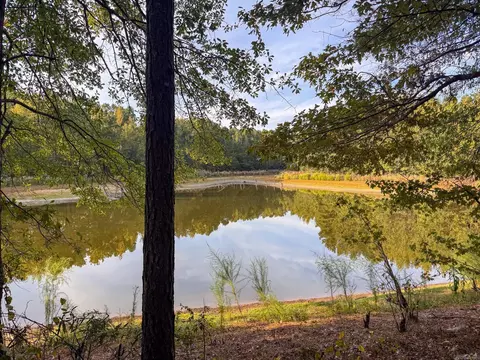 000 Cash Rd, Rison, AR 71665 photo 28