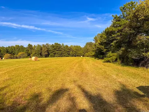 000 Cash Rd, Rison, AR 71665 photo 12