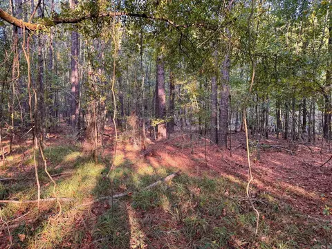 000 Cash Rd, Rison, AR 71665 photo 43