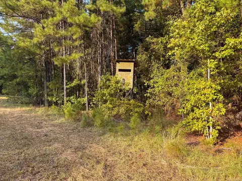 000 Cash Rd, Rison, AR 71665 photo 20