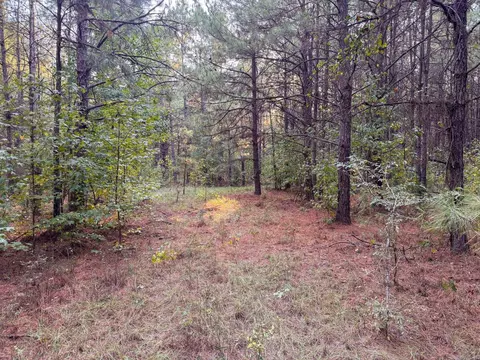000 Cash Rd, Rison, AR 71665 photo 45