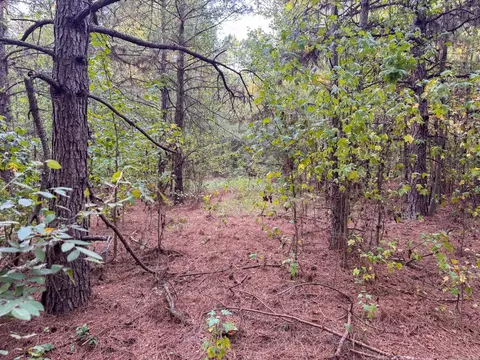 000 Cash Rd, Rison, AR 71665 photo 33
