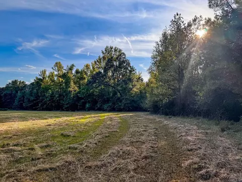 000 Cash Rd, Rison, AR 71665 photo 21