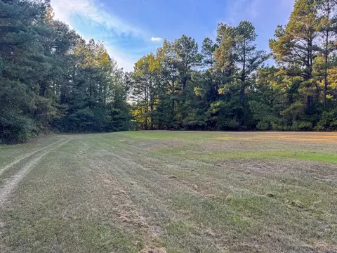 000 Cash Rd, Rison, AR 71665 photo 30