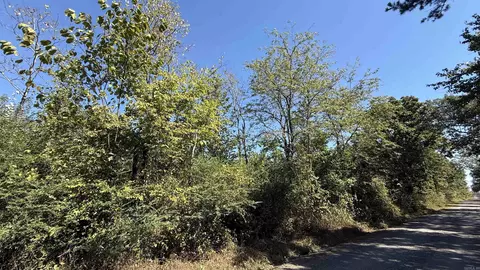 0 Midget Rd, Dennard, AR 72629 photo 2