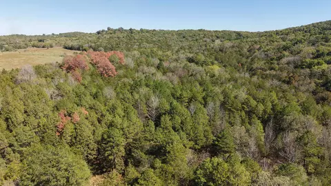8 Lafferty Rd # A, Mount Pleasant, AR 72561