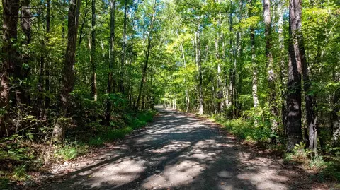 0 River Rd, Shirley, AR 72153 photo 3