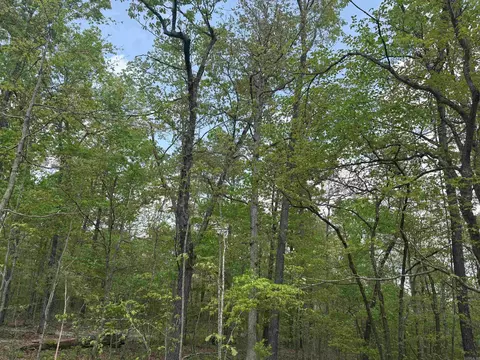 Other - 261 Mitchell Rd, Mountain View, AR 72560 photo 26 of 28