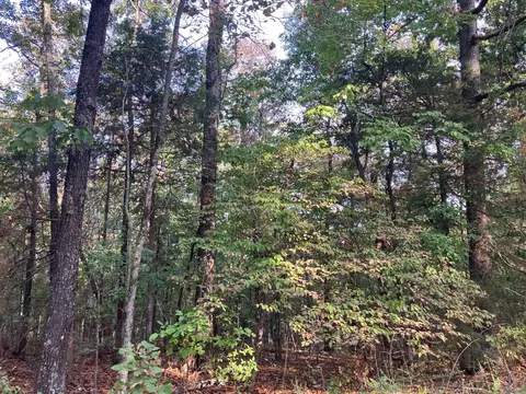 tbd Tucker Rd, Hardy, AR 72542 photo 5