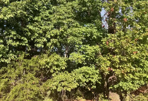 tbd Tucker Rd, Hardy, AR 72542 photo 6