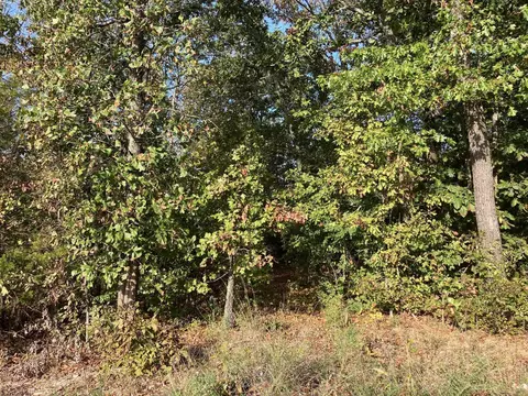 tbd Tucker Rd, Hardy, AR 72542 photo 8