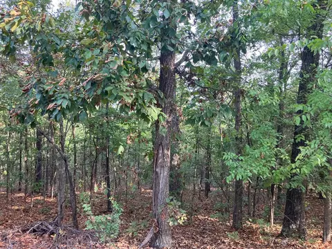 tbd Tucker Rd, Hardy, AR 72542 photo 4