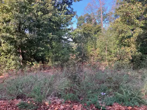 tbd Tucker Rd, Hardy, AR 72542 photo 3