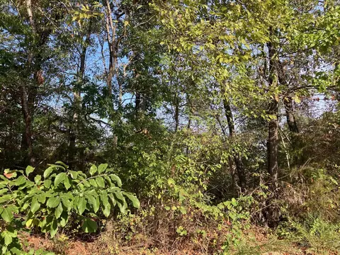 tbd Tucker Rd, Hardy, AR 72542 photo 7
