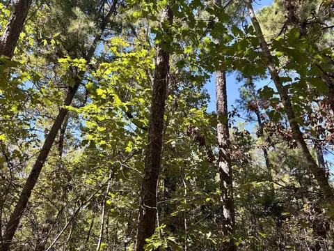 000 Porter Rd, Shirley, AR 72088 photo 4