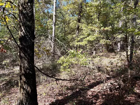 000 Porter Rd, Shirley, AR 72088 photo 9