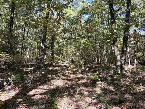 000 Porter Rd, Shirley, AR 72088 photo 8
