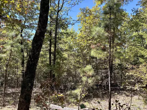 000 Porter Rd, Shirley, AR 72088 photo 7