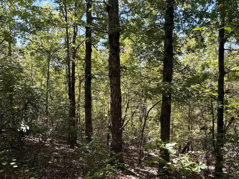 000 Porter Rd, Shirley, AR 72088 photo 12