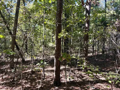 000 Porter Rd, Shirley, AR 72088 photo 3