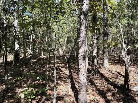 000 Porter Rd, Shirley, AR 72088 photo 6