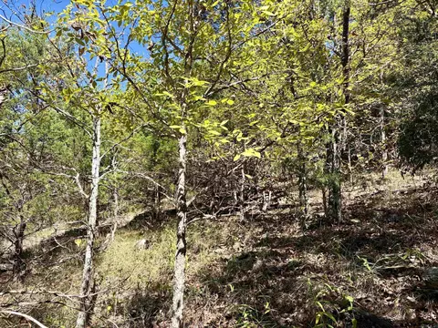 000 Porter Rd, Shirley, AR 72088 photo 15