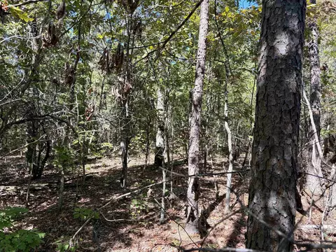 000 Porter Rd, Shirley, AR 72088 photo 5