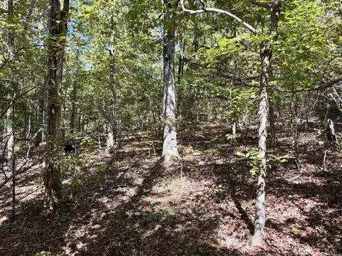 000 Porter Rd, Shirley, AR 72088 photo 10
