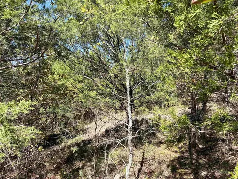 000 Porter Rd, Shirley, AR 72088 photo 13