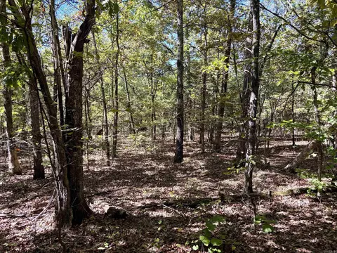 000 Porter Rd, Shirley, AR 72088 photo 11