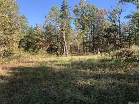 3200 River Mountain Rd, Delaware, AR 72835 photo 17