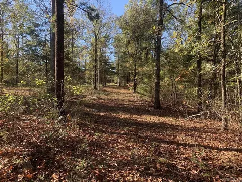3200 River Mountain Rd, Delaware, AR 72835 photo 14