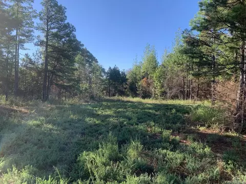 3200 River Mountain Rd, Delaware, AR 72835 photo 2