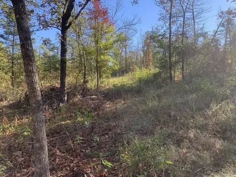 3200 River Mountain Rd, Delaware, AR 72835 photo 20