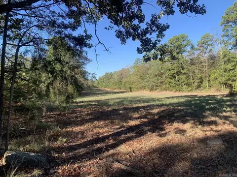 3200 River Mountain Rd, Delaware, AR 72835 photo 10
