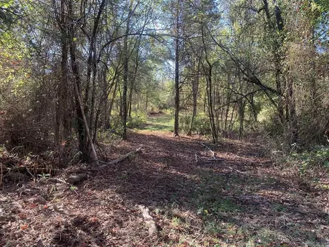 3200 River Mountain Rd, Delaware, AR 72835 photo 13