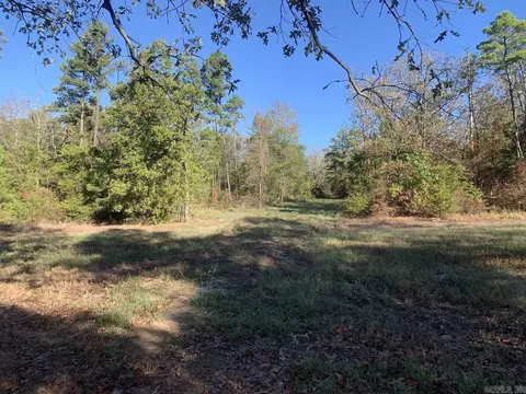 3200 River Mountain Rd, Delaware, AR 72835 photo 8