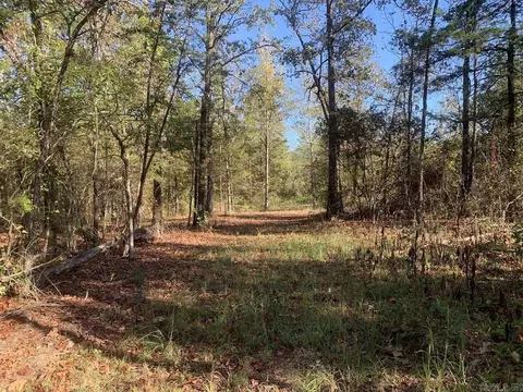 3200 River Mountain Rd, Delaware, AR 72835 photo 19