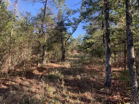 3200 River Mountain Rd, Delaware, AR 72835 photo 11