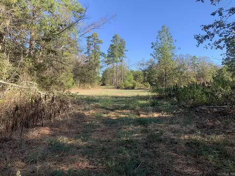 3200 River Mountain Rd, Delaware, AR 72835 photo 12
