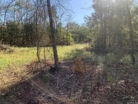 3200 River Mountain Rd, Delaware, AR 72835 photo 24