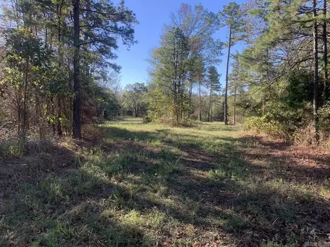 3200 River Mountain Rd, Delaware, AR 72835 photo 4