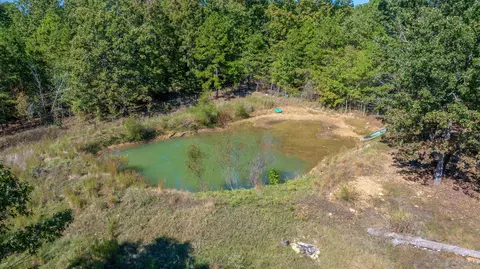 1713 Wolf Rd, Dolph, AR 72528 photo 2